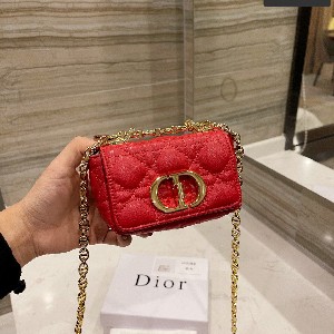 MICRO DIOR CARO BAG