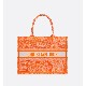 3colors DIOR BOOK TOTE