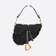 Saddle Bag Oblique