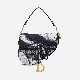 Saddle Bag Multicolor
