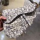 Saddle Bag Oblique
